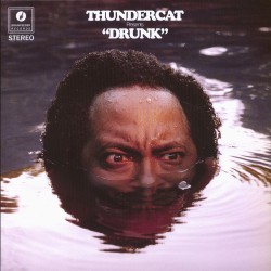  Thundercat  -- Drunk